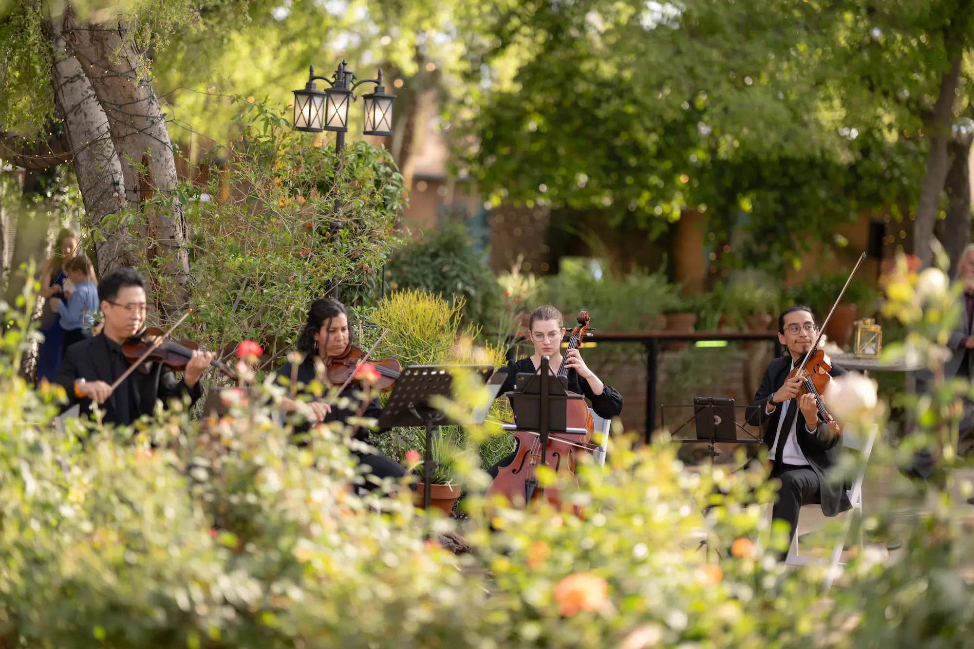 Midland String Quartet Dream Musician