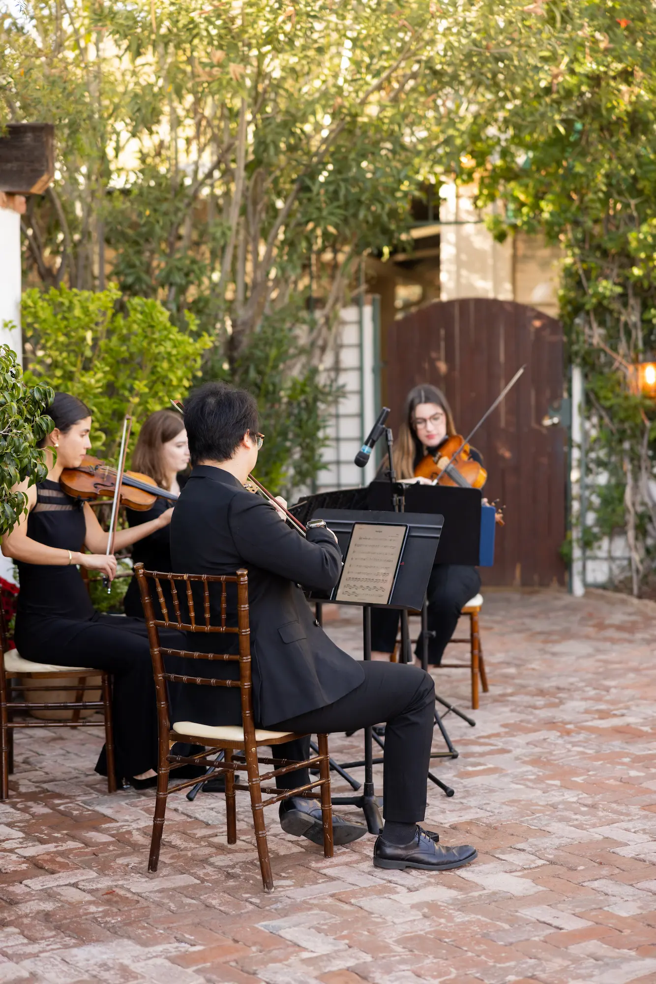 Midland String Quartet and Dream Musician